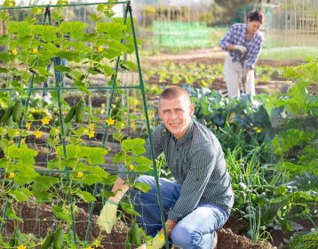 Garden Design & Features - Nourishment Tapestry