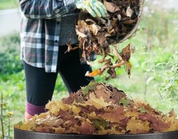 Sustainable Gardening - Nourishment Tapestry