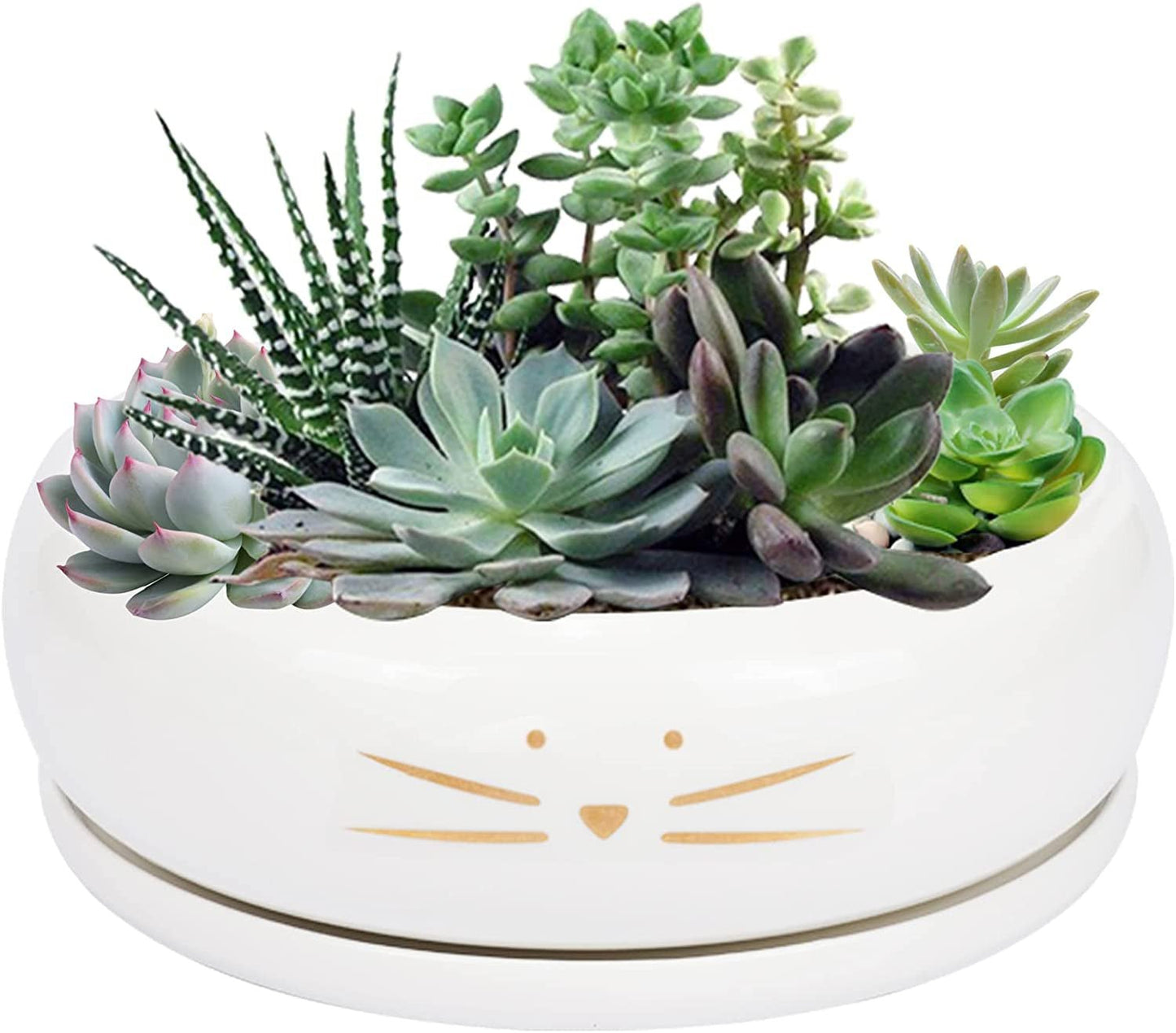 Cute Cat Ceramic Planter: Large Succulent Pot with Drainage Tray - Perfect for Plant Lovers! - Nourishment Tapestry