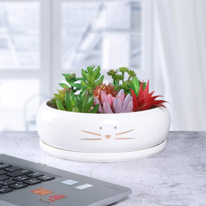 Cute Cat Ceramic Planter: Large Succulent Pot with Drainage Tray - Perfect for Plant Lovers! - Nourishment Tapestry