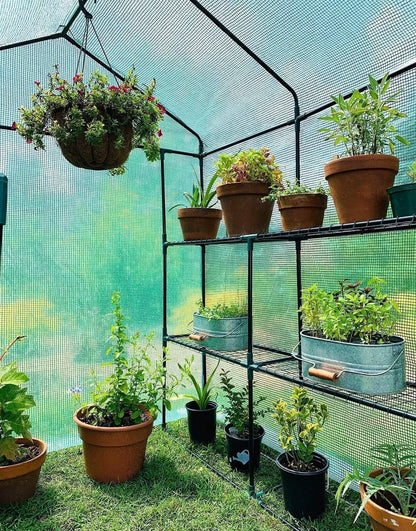 Deluxe Walk - In Greenhouse: 12 - Shelf Plant Haven with Windows & Stability Kit - Nourishment Tapestry