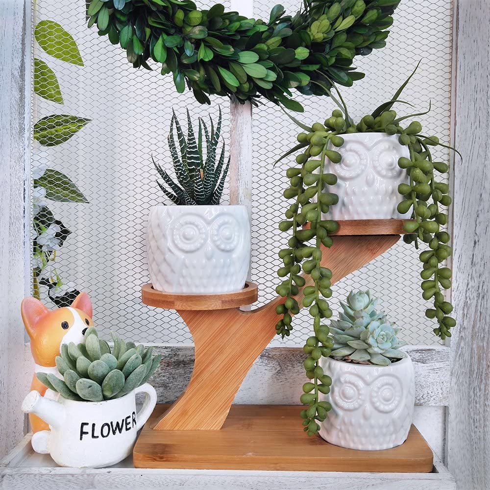 Elegant Owl Ceramic Succulent Planters with Bamboo Stand: Modern Home Decor - Nourishment Tapestry