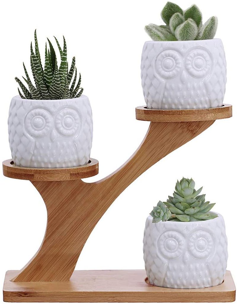 Elegant Owl Ceramic Succulent Planters with Bamboo Stand: Modern Home Decor - Nourishment Tapestry