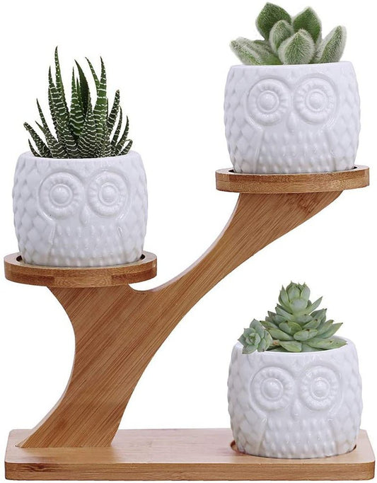 Elegant Owl Ceramic Succulent Planters with Bamboo Stand: Modern Home Decor - Nourishment Tapestry