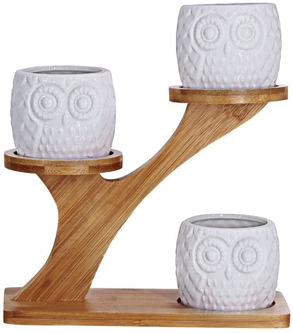 Elegant Owl Ceramic Succulent Planters with Bamboo Stand: Modern Home Decor - Nourishment Tapestry