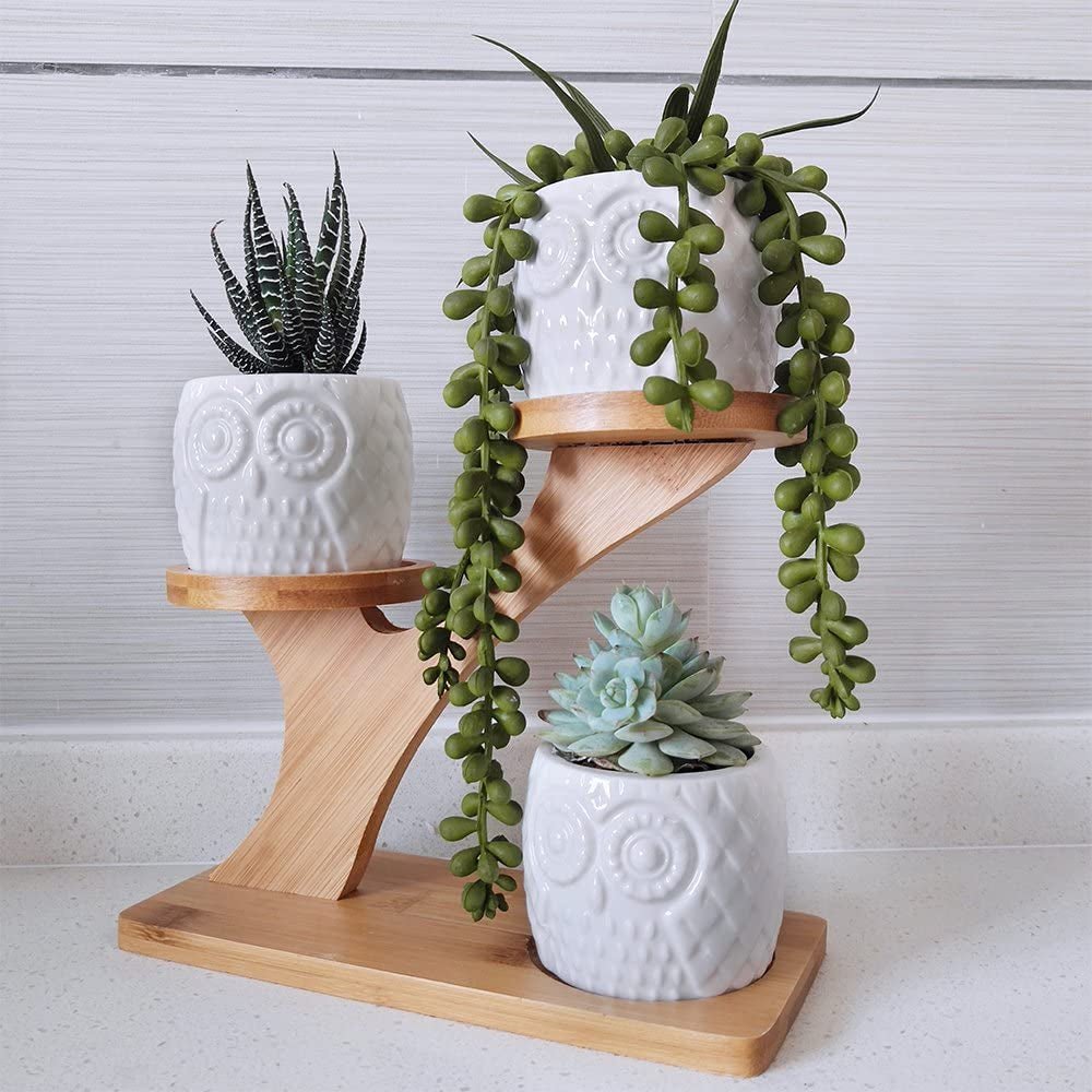 Elegant Owl Ceramic Succulent Planters with Bamboo Stand: Modern Home Decor - Nourishment Tapestry