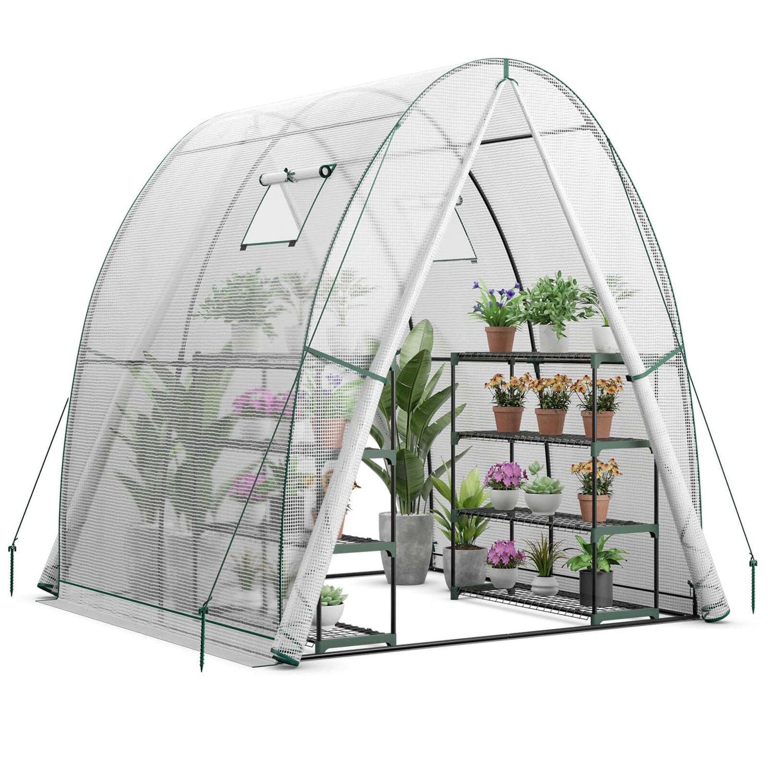 Portable Greenhouse 6x6x6.6 FT: Easy - Access 2 - Door, Ventilated Windows, Spacious Plant Sanctuary - Grow Your Plants in Style! - Nourishment Tapestry