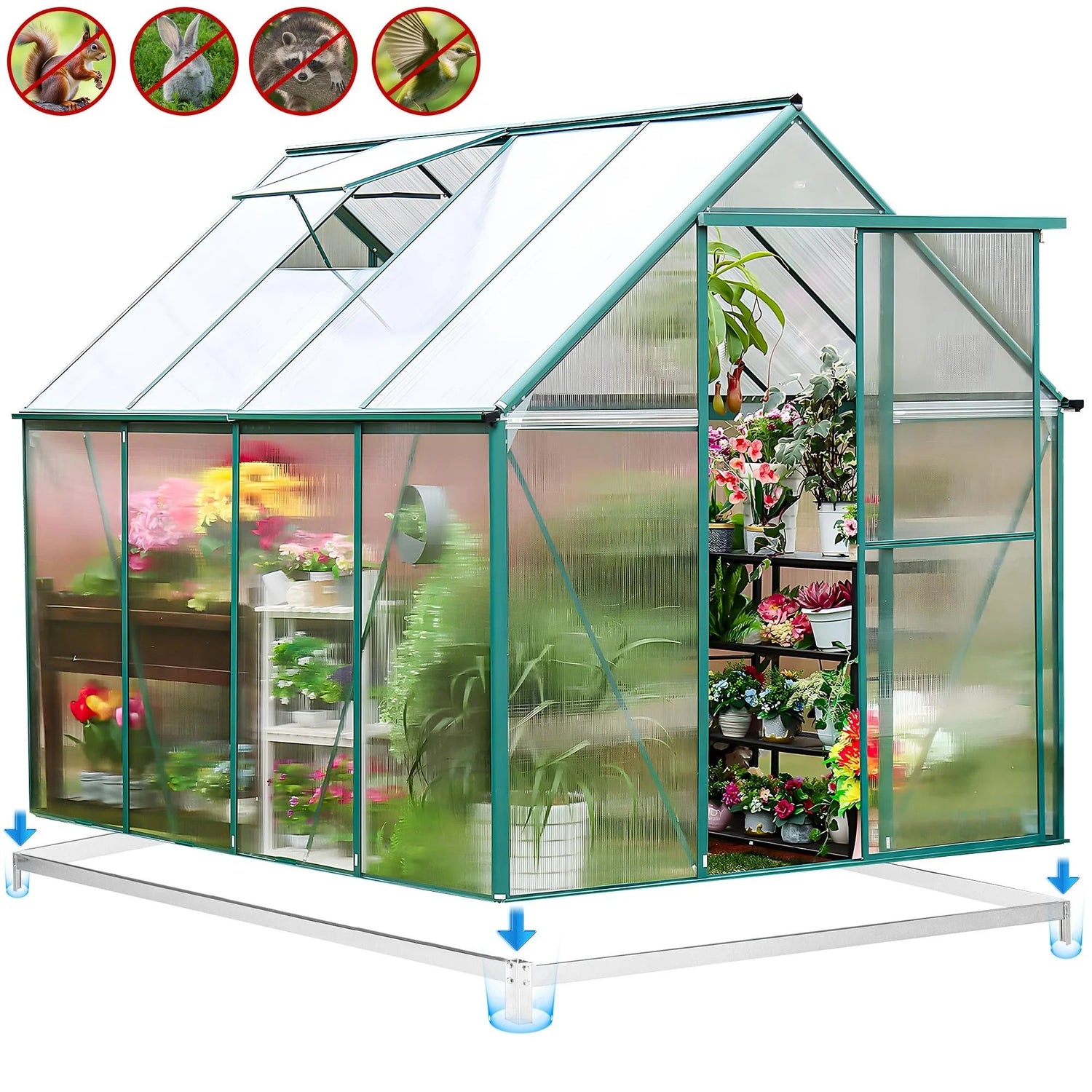 Premium 6x8 FT Polycarbonate Greenhouse with Sliding Door & Aluminum Frame - Nourishment Tapestry