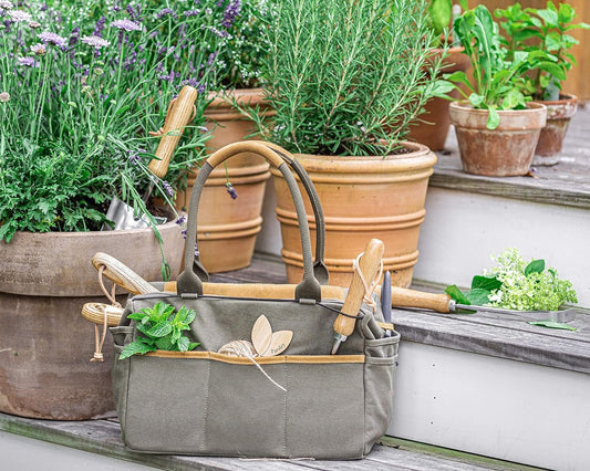 Professional 6 - Piece Stainless Steel Garden Tool Set with Leather Tote for Enthusiasts - Nourishment Tapestry